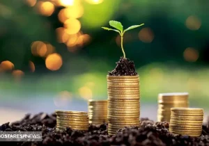 ۴ خطای سرمایه گذاران ایرانی در سال ۱۴۰۳ | سال جدید چگونه بیشتر سود کنیم؟