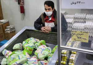 آدرس فروش مرغ ارزان در تهران