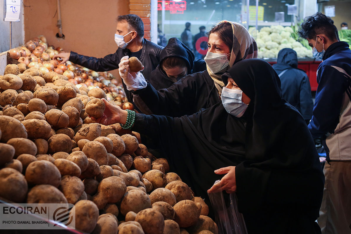 از کجا سیب زمینی ارزان بخریم ؟/ کمبود سیب زمینی نداریم وفور محصول در میادین تهران