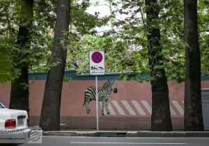 تیغ شهرداری بر پیکر درختان خشک پایتخت