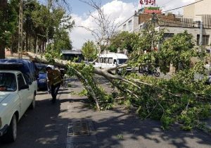 هشدار زرد هواشناسی: تهران در معرض بادهای شدید