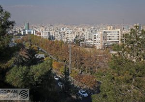 خشکی درختان پارک‌های جنگلی تهران؛ بحران از دل زمین و هجوم از تنه درختان