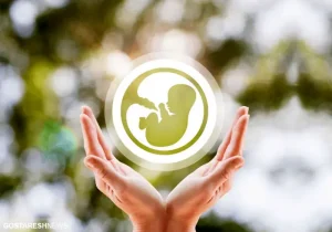 دولت گره بزرگی از کار زوج‌های جوان باز کرد