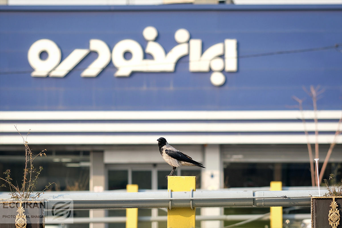 طرح جدید فروش محصول ایران‌خودرو؛ این محدویت‌ها لغو شد