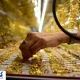 قیمت طلا مسیر عوض کرد | در بازار چه خبر شده ؟ (۲ خرداد ۱۴۰۴)
