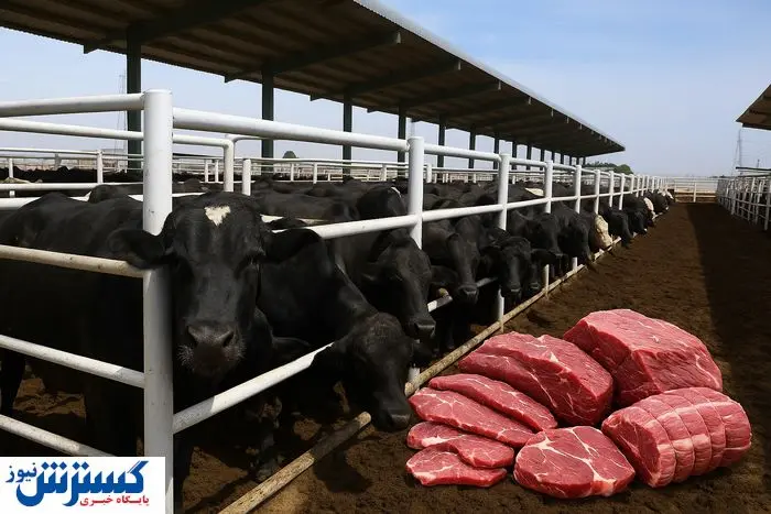 جنجال بر سر گوشت پاکستانی و قزاقستانی | دامدار ایرانی قربانی شد