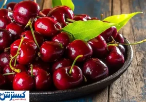 قیمت گیلاس کنترل شد | اوضاع بازار تغییر کرد