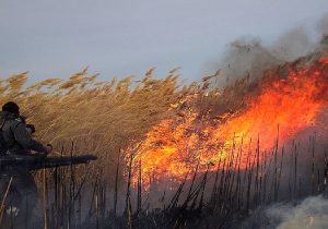 تعیین تکلیف حقابه هورالعظیم/ چه بر سر تالاب آمده است؟