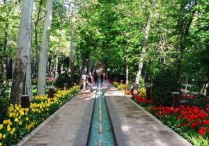 جشنواره «ایران ماهر» در بوستان لاله