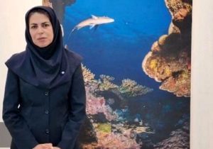 رصد کوسه‌ در سواحل کیش؛ پاسخ اداره محیط زیست به نگرانی‌ها