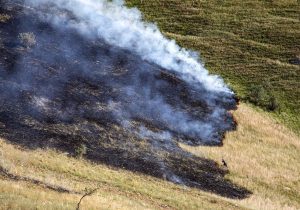زنگ خطر آتش‌سوزی در جنگل‌های تهران