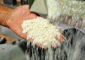 کاهش قیمت برنج ایرانی در میادین میوه و تره بار تهران