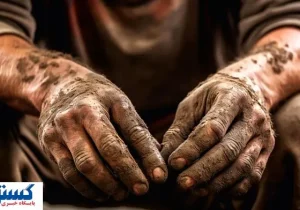 دور زدن سازمان تامین اجتماعی به راحتی آب خوردن شد
