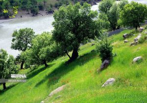 چندپاره شدن سازمان منابع طبیعی پیامدی جز تخریب سرزمین ندارد