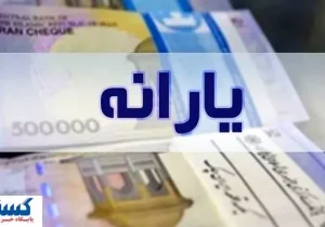 یارانه معیشتی این افراد اشتباهی حذف شد