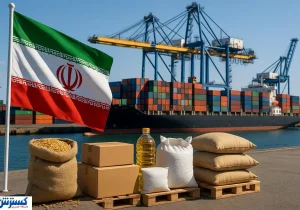 بانک مرکزی میلیاردها دلار برای تامین کالاهای اساسی هزینه کرد
