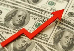 قیمت دلار امروز بازار را تکان داد (۲۹ مهر ۱۴۰۴)