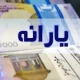 سرپرست جدید می‌تواند یارانه نقدی کودک را دریافت کند
