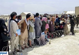 پشت پرده آمار ۸ هزار ویزای کار؛ کارگران افغانستانی بیمه تامین اجتماعی می‌شوند