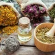 گیاهان دارویی پرکاربرد در طب سنتی و خواص آنها