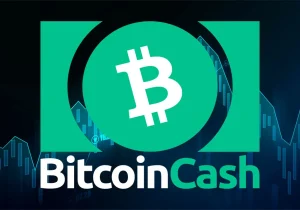 بیت‌ کوین‌ کش با جهش ۴۰ درصدی بهترین دارایی لایه‌یک سال شد