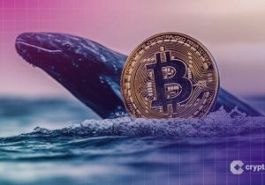 تتر ۳.۹ میلیارد دلار بیت کوین را برای عرضه Twenty One منتقل کرد