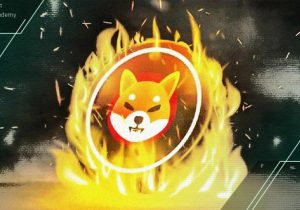 تحلیل شیبا اینو: فعالیت نهنگ‌های شیبا اینو به بالاترین سطح ۶ ماهه رسید!