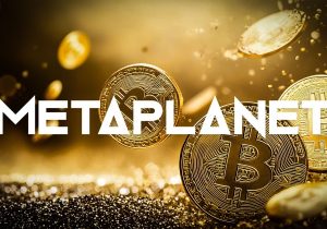 تغییر ساختار سرمایه‌گذاری متاپلنت با تمرکز بر بیت کوین