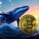 توقف فروش بیت کوین توسط هولدرهای قدیمی و افزایش خرید نهنگ‌های اتریوم