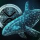 فروش ۲۸۰ میلیون XRP توسط نهنگ‌ها در یک هفته؛ آیا حمایت ۲ دلاری حفظ می‌شود؟