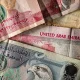قیمت درهم امارات امروز سه شنبه ۲دی/ درهم افزایشی شد + جدول کامل