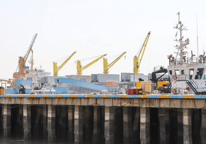 ورود دستگاه قضایی برای تأمین نهاده‌های دامی/ ترخیص ۱۶ هزار تن کنجاله سویا