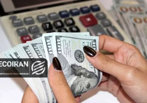 آخرین قیمت دلار امروز سه شنبه ۱۳بهمن/ کاهش قیمت + جدول