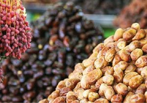 افت صادرات خرمای ایران / چرا خرمای ایران بازارهای جهانی را از دست داد؟