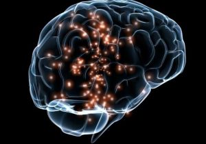 بارداری و شیردهی از مغز زنان در برابر پیری محافظت می کند