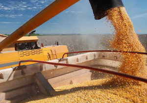 تصمیم جنجالی دولت/ آزمایش مجدد واردات دامی حذف شد