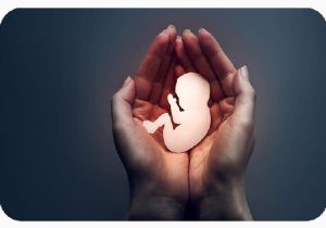 راه‌اندازی سامانه گزارش‌های مردمی درباره سقط غیرقانونی جنین