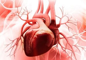 سلامت قلب افراد شب زنده دار در معرض خطر است