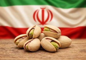 نبرد پسته در بازار جهانی/ آمریکا جایگزین ایران شد