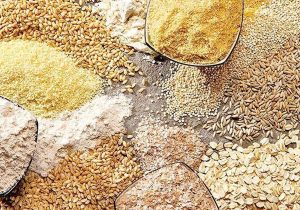 محدودیت واردات از طریق بنادر جنوبی کشور / اولین محموله نهاده دامی نیز از بنادر شمالی وارد کشور شده است