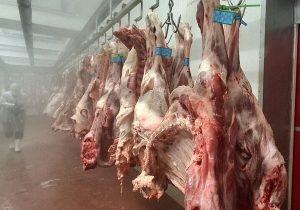 افزایش هزینه بسته‌بندی گوشت چقدر روی قیمت اثر دارد؟ / دبیر انجمن تولید و بسته‌بندی گوشت توضیح داد