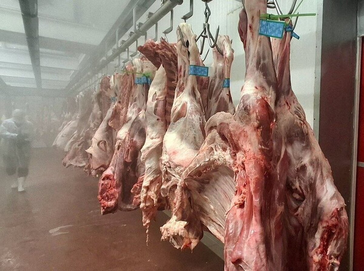 افزایش هزینه بسته‌بندی گوشت چقدر روی قیمت اثر دارد؟ / دبیر انجمن تولید و بسته‌بندی گوشت توضیح داد