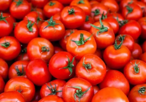 بازار صادراتی جان گرفت / دستور تازه گمرک برای خروج آزادانه سه کالای حساس