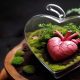 چرا آمار اهدای عضو سقوط کرد؟