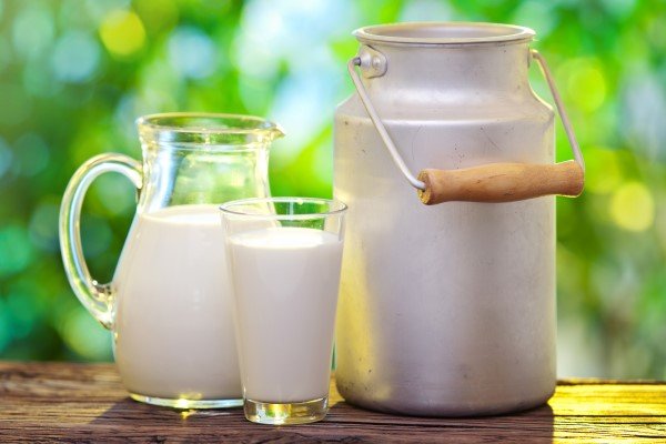 ناگفتههایی از ماندگاری شیرهای پاکتی؛ هشدار متخصص تغذیه