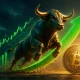 بولران (Bull Run) چیست؟ راهنمای کامل شناخت و تشخیص بازار صعودی