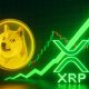رسمی‌شدن صندوق‌های ETF دوج کوین و ریپل در بورس نیویورک