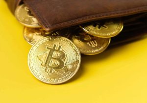 بیداری کیف پول‌های قدیمی بیت کوین و انتقال ۵۰ میلیون دلار در سپتامبر