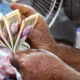 معوقات رتبه‌بندی بازنشستگان ۱۴۰۲ واریز شد / پرداخت ۱۰ تا ۲۰ میلیون تومانی